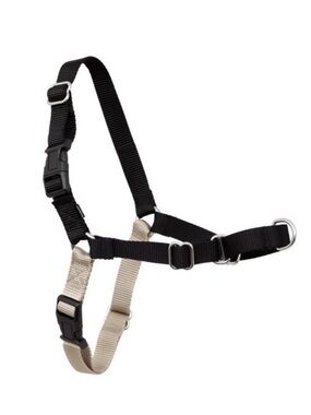 NIB PEtSafe Adjustable Black and Tan Dog Harness Large
